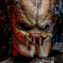 Predator 2.0