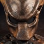 Predator Mask