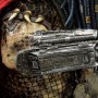 Predator Ahab