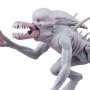 Predator Berserker And Alien Neomorph Retro 2-SET