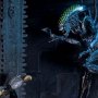 Predator Celtic Battle Damaged And Alien Grid Battle Damaged 2-PACK