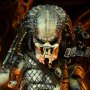 Predator Elder 30th Anni Ultimate