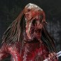 Predator Feral Bear Blood Ultimate