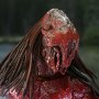 Predator Feral Bear Blood Ultimate