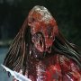 Predator Feral Bear Blood Ultimate