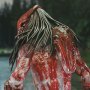 Predator Feral Bear Blood Ultimate