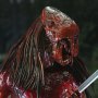 Predator Feral Bear Blood Ultimate