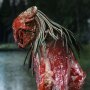 Predator Feral Bear Blood Ultimate