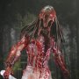 Predator Feral Bear Blood Ultimate