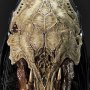 Predator Feral Museum Masterline