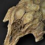 Predator Feral Museum Masterline Deluxe Bonus Edition