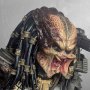 Predator Jungle Hunter