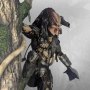 Predator Jungle Hunter