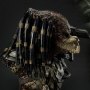 Predator Jungle Hunter Limited