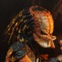 Predator Stalker Ultimate