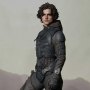 Dune: Paul Atreides Stillsuit Bonus Edition