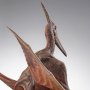 Pteranodon