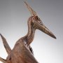 Pteranodon
