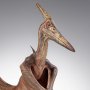 Pteranodon