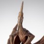 Pteranodon