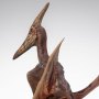 Pteranodon
