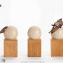 Pterosaur Hatching ECC Line