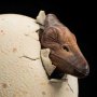 Pterosaur Hatching ECC Line