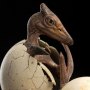 Pterosaur Hatching ECC Line