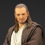 Qui-Gon Jinn