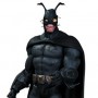 Batman Arkham City: Rabbit Hole Batman