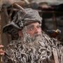Radagast In Rhosgobel