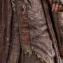 Radagast In Rhosgobel