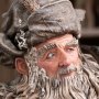 Radagast In Rhosgobel