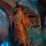 Radagast In Rhosgobel