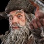 Radagast The Brown (studio)