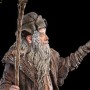 Radagast The Brown (studio)