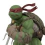 Teenage Mutant Ninja Turtles: Raphael