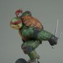 Teenage Mutant Ninja Turtles: Raphael