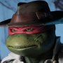 Raphael Disguise