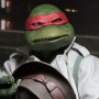 Raphael Disguise