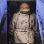 Raphael Disguise