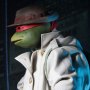 Raphael Disguise