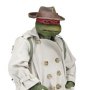 Raphael Disguise