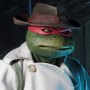 Raphael Disguise