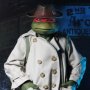 Raphael Disguise