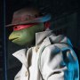 Raphael Disguise
