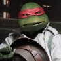 Raphael Disguise