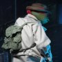 Raphael Disguise