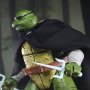 Raphael Old Man