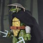 Raphael Old Man